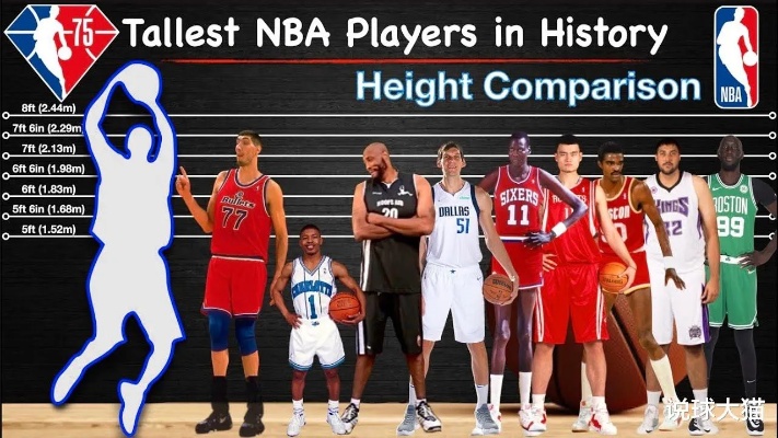 如何挑战NBA个子最高的球员